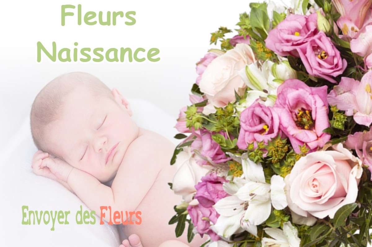 lIVRAISON FLEURS NAISSANCE à CACHEN